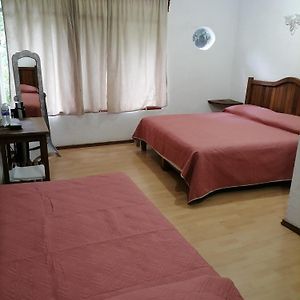Posada Bugambilias